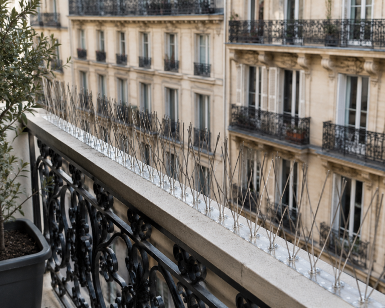 Une seule rangée de pics anti-pigeon posée sur la main courante étroite d'un balcon